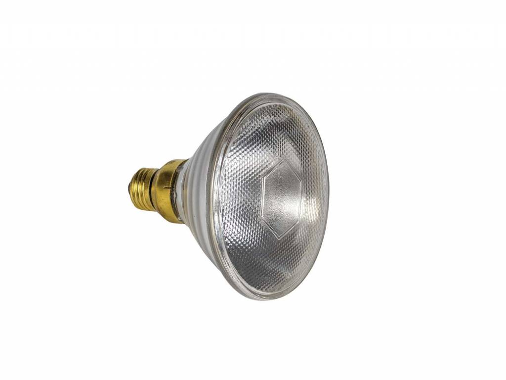 PAR 38-150 W/24 V Bulb